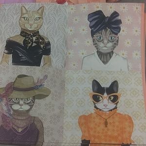 Reusable Polypropylene Bags